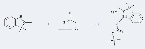 Acetamide,2-chloro-N-(1,1-dimethylethyl)- can react with 2,3,3-trimethyl-3H-indole to produce 1-(N-tert-Butylcarbamoylmethyl)-2,3,3-trimethyl-3H-indolium Chloride